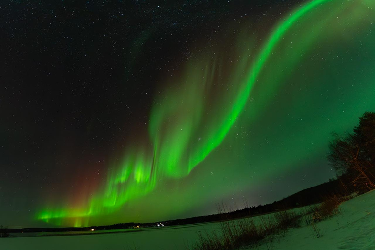 Aurora Hunt with Money-Back Guarantee + Photo and Video Aurora Hunt with Money-Back Guarantee