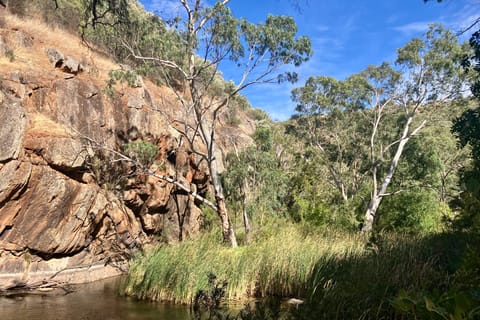 Adelaide: Onkaparinga Gorge Hike, Swim, and Winery Tour - Image 2