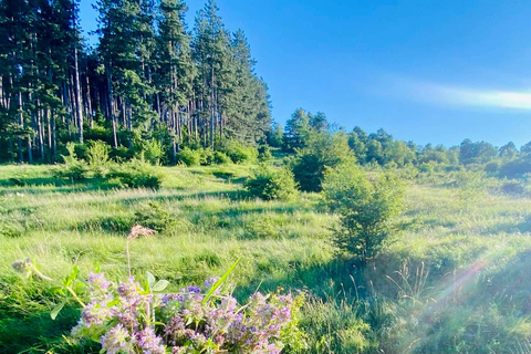 Sofia: The Beauty of the Countryside with a Homemade Lunch