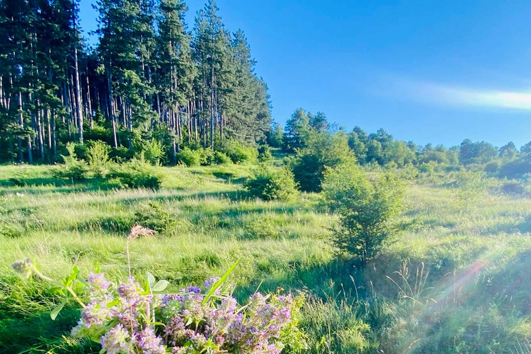 Sofia: The Beauty of the Countryside with a Homemade Lunch
