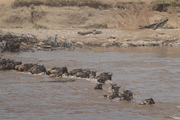 5Day of Wildlife Tarangire, Serengeti, Ngorongoro &amp;Cultural