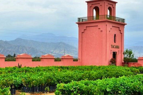 Visite de la cave Tacama - Tour Don Manuel avec dégustationVisite du vignoble Tacama - Don Manuel et dégustation