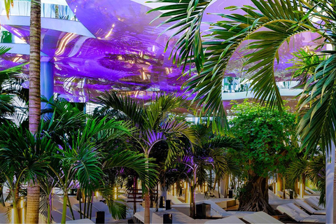 Therme Bucharest Palm & Galaxy Wellness Day Experience Audio Guide 24 Languages