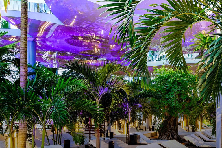 Therme Bucharest Palm & Galaxy Wellness Day Experience Audio Guide 24 Languages