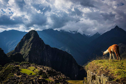 Southern route Peru 12 days