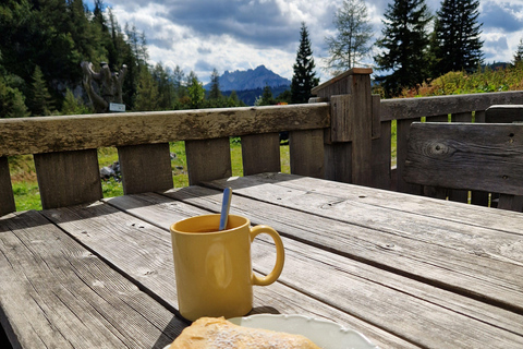 Wien: 2-tägige Alpen-Wanderung mit Tourguide und Transfer
