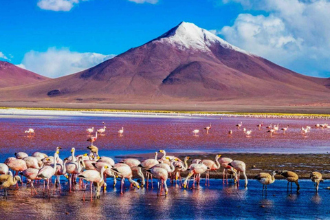 De San Pedro de Atacama à la plaine salée d&#039;Uyuni 3 jours en groupe