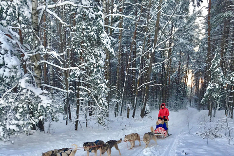 Husky sleeën &amp; Uitzicht op het bos: Onvergetelijk avontuur in Riga