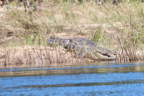 Tour di 2 giorni con rafting sullo Zambesi, safari con rinoceronti e Parco Nazionale di Chobe2 giorni di rafting sul fiume Zambesi, safari alla ricerca dei rinoceronti e tour del P