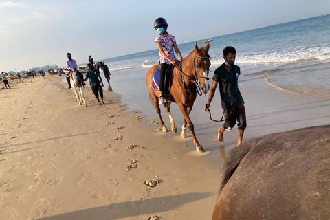 Horse Riding in Port City