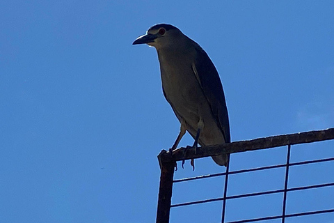 Casablanca: Private Wine Tour at Estancia El Cuadro, Valparaíso, Viña del Mar