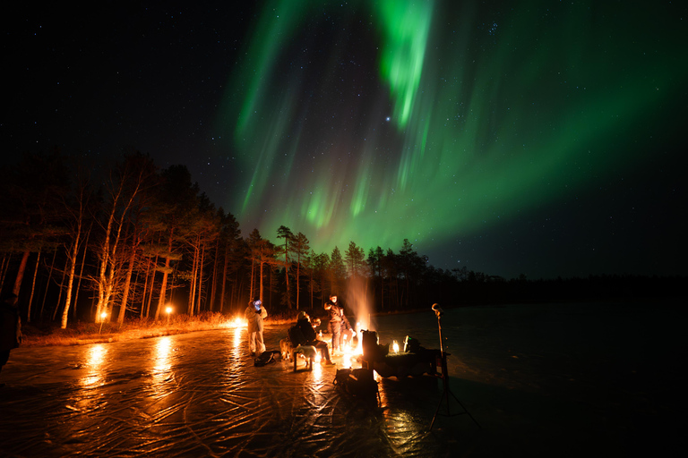 Ranua: Lupland Aurora Activity Park – After Dark Adventure