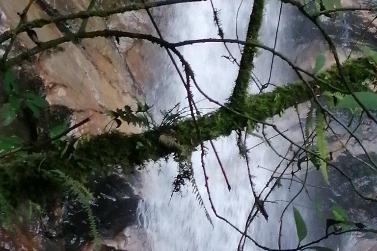 Medellín: escursione alle cascate segrete con spuntino e caffè