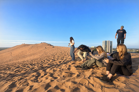Santiago: Valparaiso, Llama Vineyard & Concon Dune Sunset