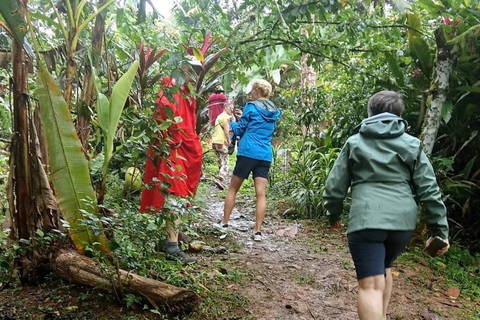 Indigenous Cacao Tour in Bocas del Toro