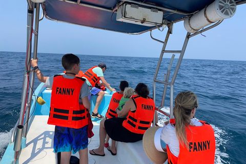 Puerto Escondido: Bootstour zu Delfinen und MeerestierenPrivate Tour