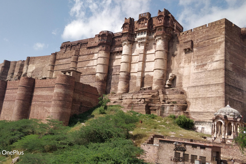 Rajasthan Tour of Udaipur-Jodhpur- Jaisalmer- Bikaner-Jaipur