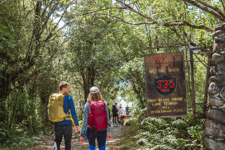 Te Anau: Fiordland Scenic Drive & Milford Track Hike