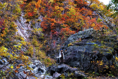 Sapporo: Hoheikyo Dam (丰平峡大坝), Jozankei & Outlet Tour