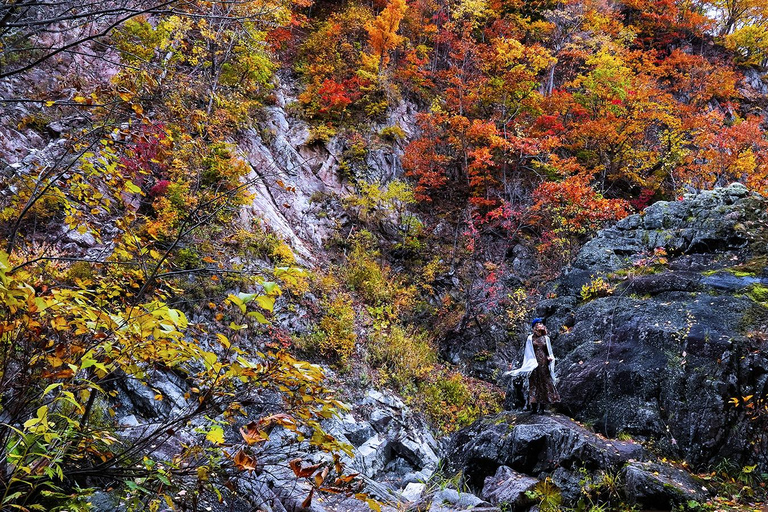 Sapporo: Hoheikyo Dam (丰平峡大坝), Jozankei & Outlet Tour