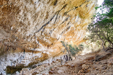 From Cala Gonone: Tiscali Nuragic Village Trekking Tour