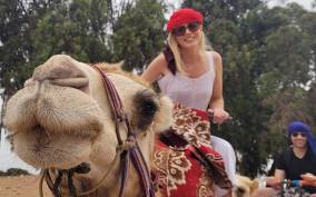 From Agadir or Taghazout: Flamingo River Camel Ride & Tea