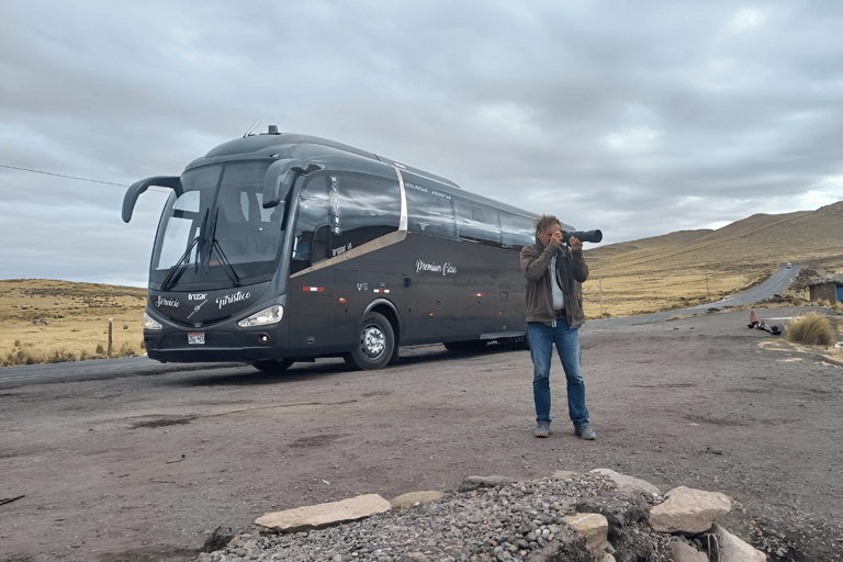 Colca 1 dia saindo de Arequipa e terminando em Puno