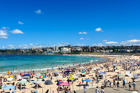 Sydney: city tour particular pelo porto e por Bondi com transferSydney: Excursão particular pela cidade, pelo porto e por Bondi com transporte