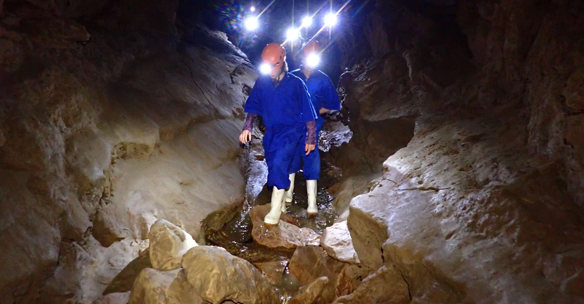 Raglan, Guided Cave Adventure with Glow Worms - Housity