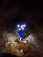 Raglan, Guided Cave Adventure with Glow Worms - Housity