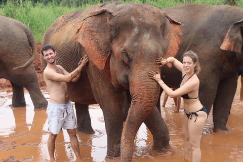 Chiang Mai: Excursión a Doi Inthanon y Santuario de ElefantesPunto de encuentro