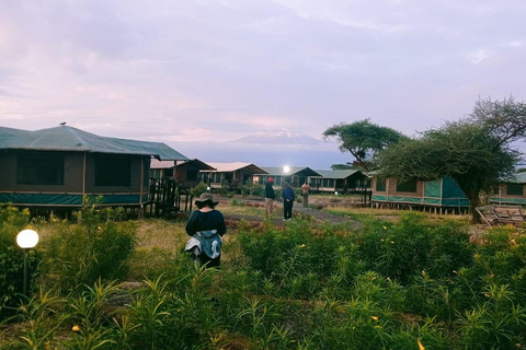 Day trip amboseli national park from nairobi.