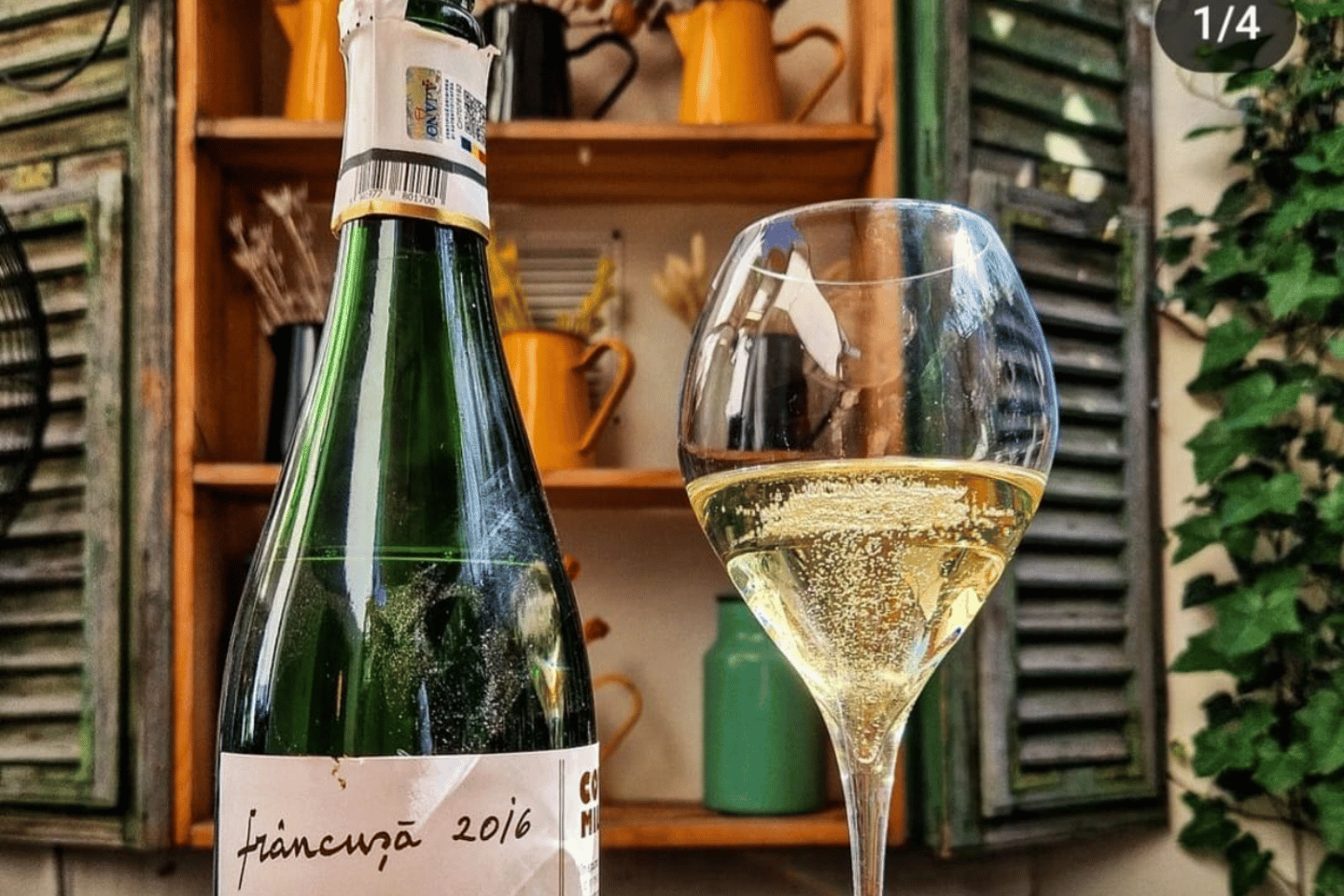 Verkosten Sie 5 rumänische Weine und eine Käseplatte