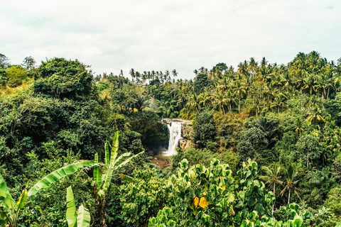 Ubud: tour de las epectaculares cascadasTour de cascadas con arrozal y columpio en la selva