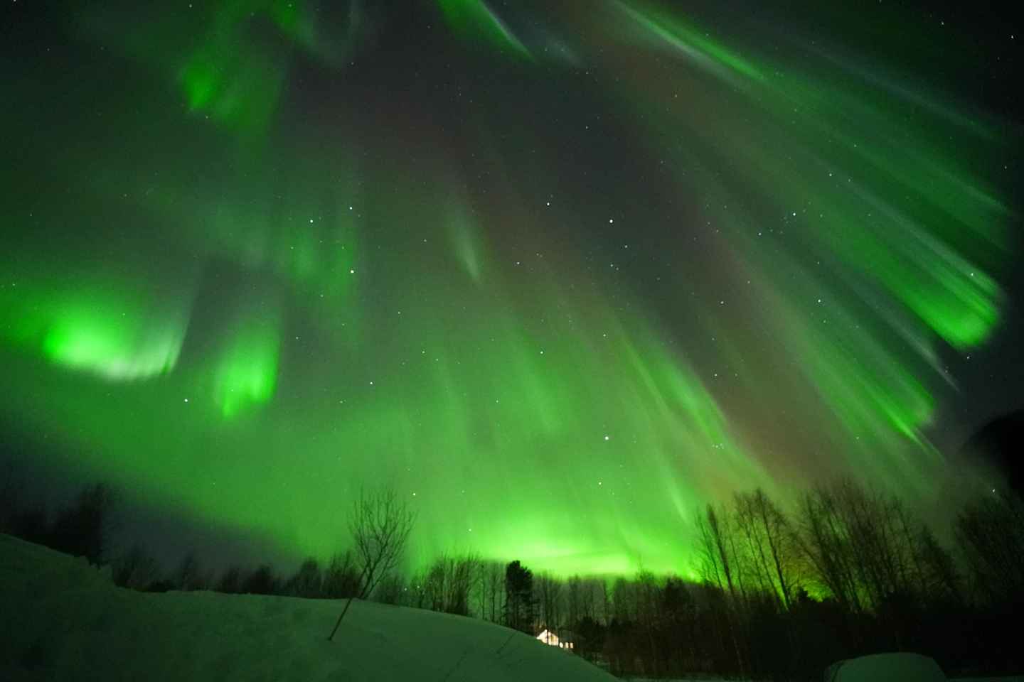 Rovaniemi: Guaranteed Aurora Hunting Tour with Photos&Videos