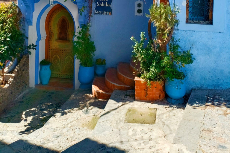 Desde Fez Chefchaouen Excursión de un día con Conductor con Grupo de 8