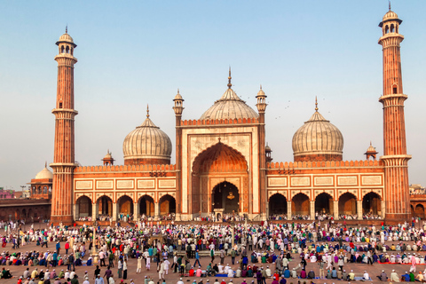 Rode Fort & Old Delhi: 5 uur durende tour van een halve dag