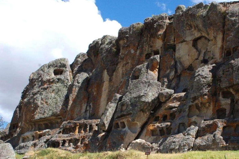 Cajamarca |Otuzco Farm|