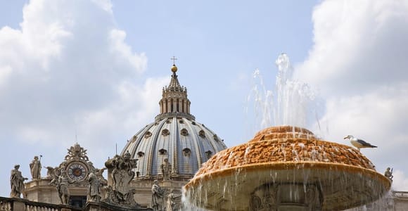 Vatican City: Papal Audience with Host and Entry Assistance