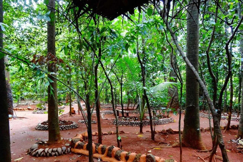 From Kandy: Sigiriya Rock, Dambulla Caves & Nalanda Heritage