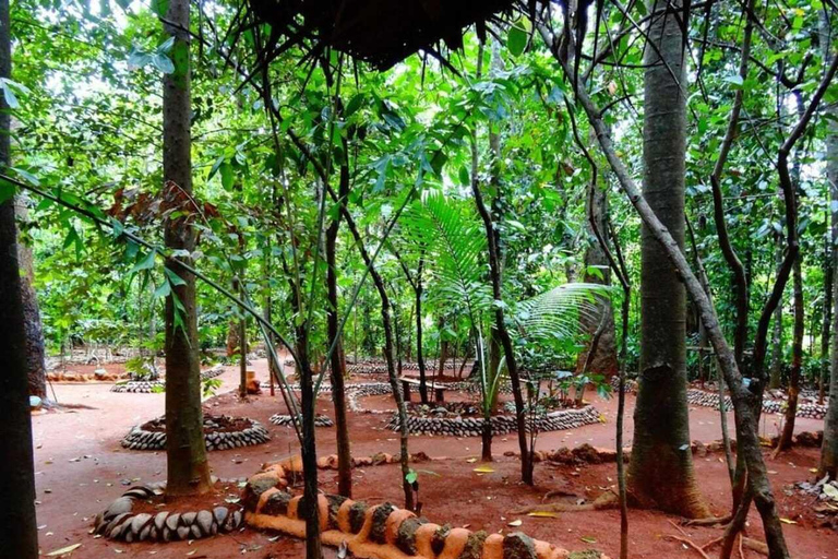 From Kandy: Sigiriya Rock, Dambulla Caves & Nalanda Heritage