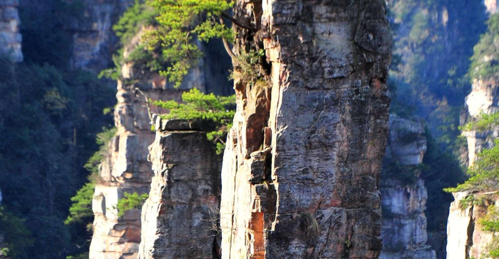 Zhangjiajie Avatar Mountain Glass Bridge day tour - Housity