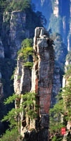 Tour di Zhangjiajie Avatar Mountain Glass Bridge Day - Housity