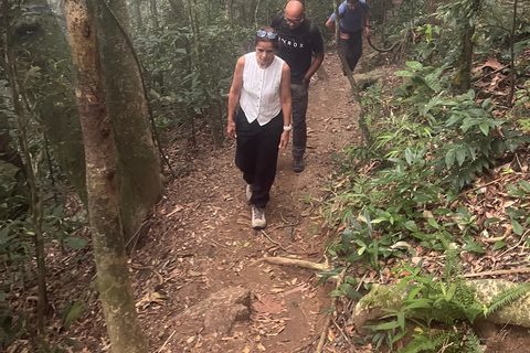 Rio de Janeiro: Christ the Redeemer Forest Hike