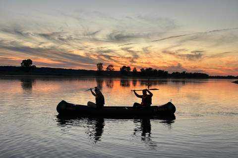 Neu Darchau: Sunset Beaver Tour New Darchau: Biber tour at sunset