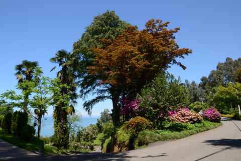 Mar Nero: Tour della spiaggia magnetica e del giardino botanico di Batumi