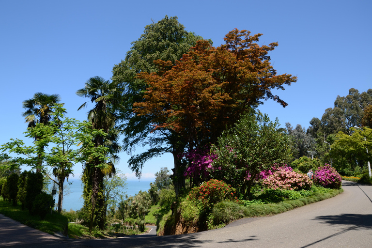 Mar Negro: Excursión a la Playa Magnética y al Jardín Botánico de Batumi