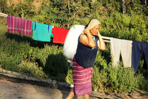 مغامرة لمدة 2-3 أيام في شيانغ ماي: قبائل التلال والفيلة والنهر2 أيام 1 ليلة واحدة: الحياة المحلية ورعا