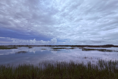 Charleston: Sunrise Marsh Ecotour Boat Charter