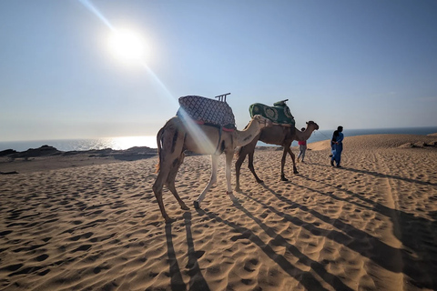 Agadir/Taghazout: Desert Tour Camel Riding & Sandboarding